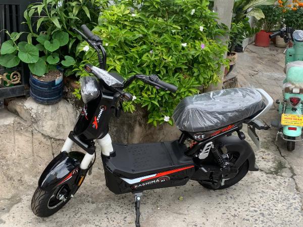 Xe đạp điện Kashima X-BULL